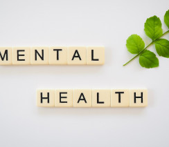 Mental Health Physiotherapy Level 1
